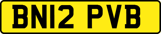 BN12PVB