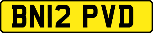 BN12PVD