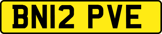 BN12PVE