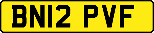 BN12PVF