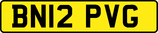 BN12PVG
