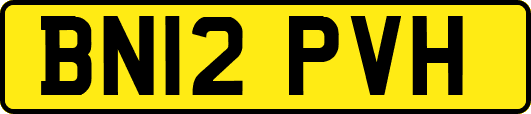 BN12PVH