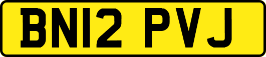 BN12PVJ