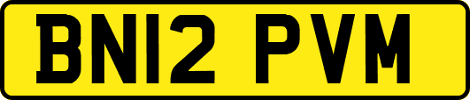 BN12PVM