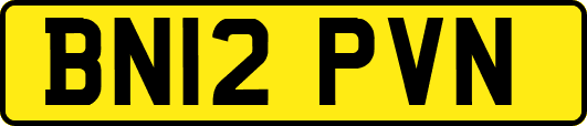 BN12PVN