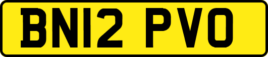 BN12PVO