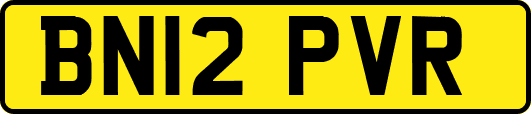 BN12PVR