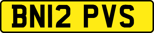 BN12PVS