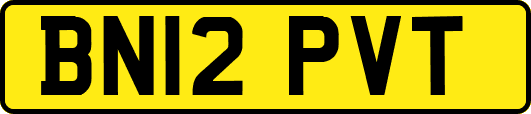 BN12PVT