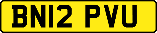 BN12PVU