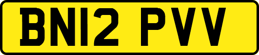 BN12PVV
