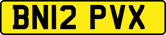 BN12PVX