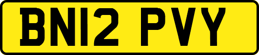 BN12PVY