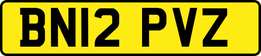 BN12PVZ
