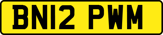 BN12PWM