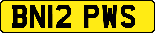 BN12PWS