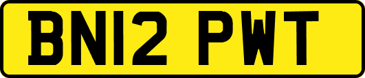 BN12PWT