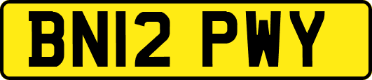 BN12PWY
