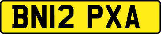 BN12PXA