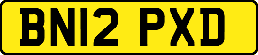 BN12PXD