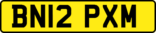 BN12PXM