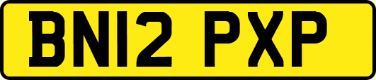 BN12PXP