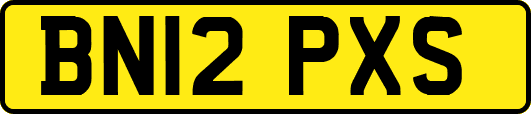 BN12PXS