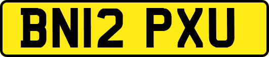 BN12PXU