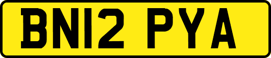 BN12PYA