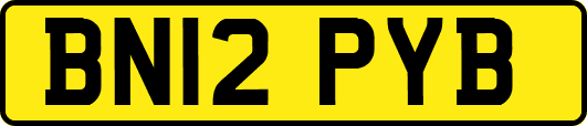 BN12PYB