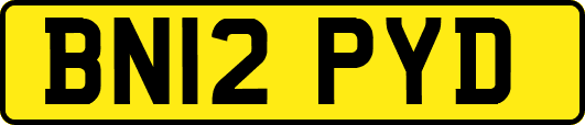BN12PYD