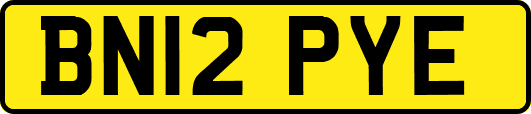 BN12PYE