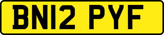 BN12PYF