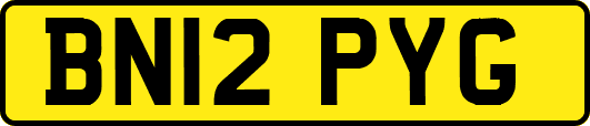 BN12PYG