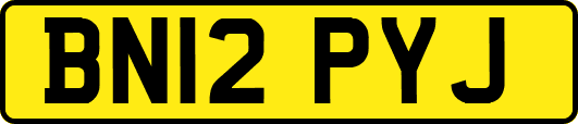 BN12PYJ