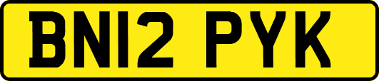 BN12PYK