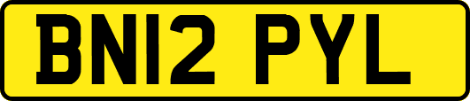 BN12PYL