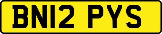 BN12PYS
