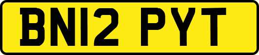 BN12PYT