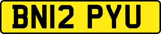 BN12PYU