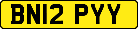 BN12PYY