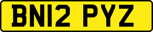 BN12PYZ