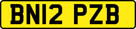 BN12PZB