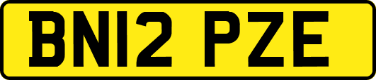 BN12PZE