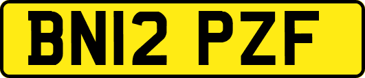 BN12PZF