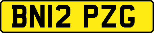 BN12PZG