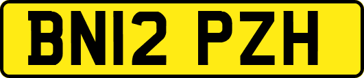 BN12PZH