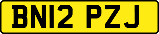 BN12PZJ