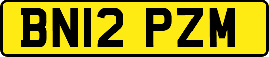 BN12PZM
