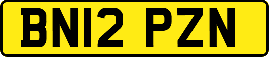 BN12PZN